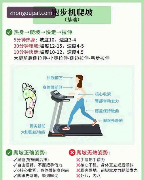 中欧体育A3B7功能详解 中欧体育A3B7功能详解:新手也能快速上手的专业体育平台